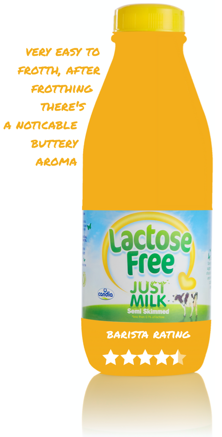 How the experts rated Lactose Free JUST MILK as an accompaniment to coffee