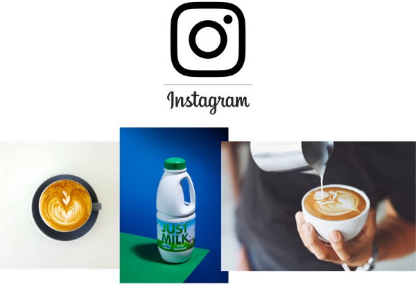 Follow JUST MILK on Instagram