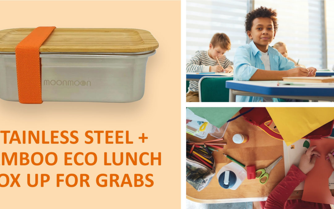 Eco Lunch Box Winners